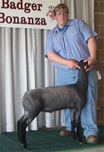 Champion Natural Badger Bonanza